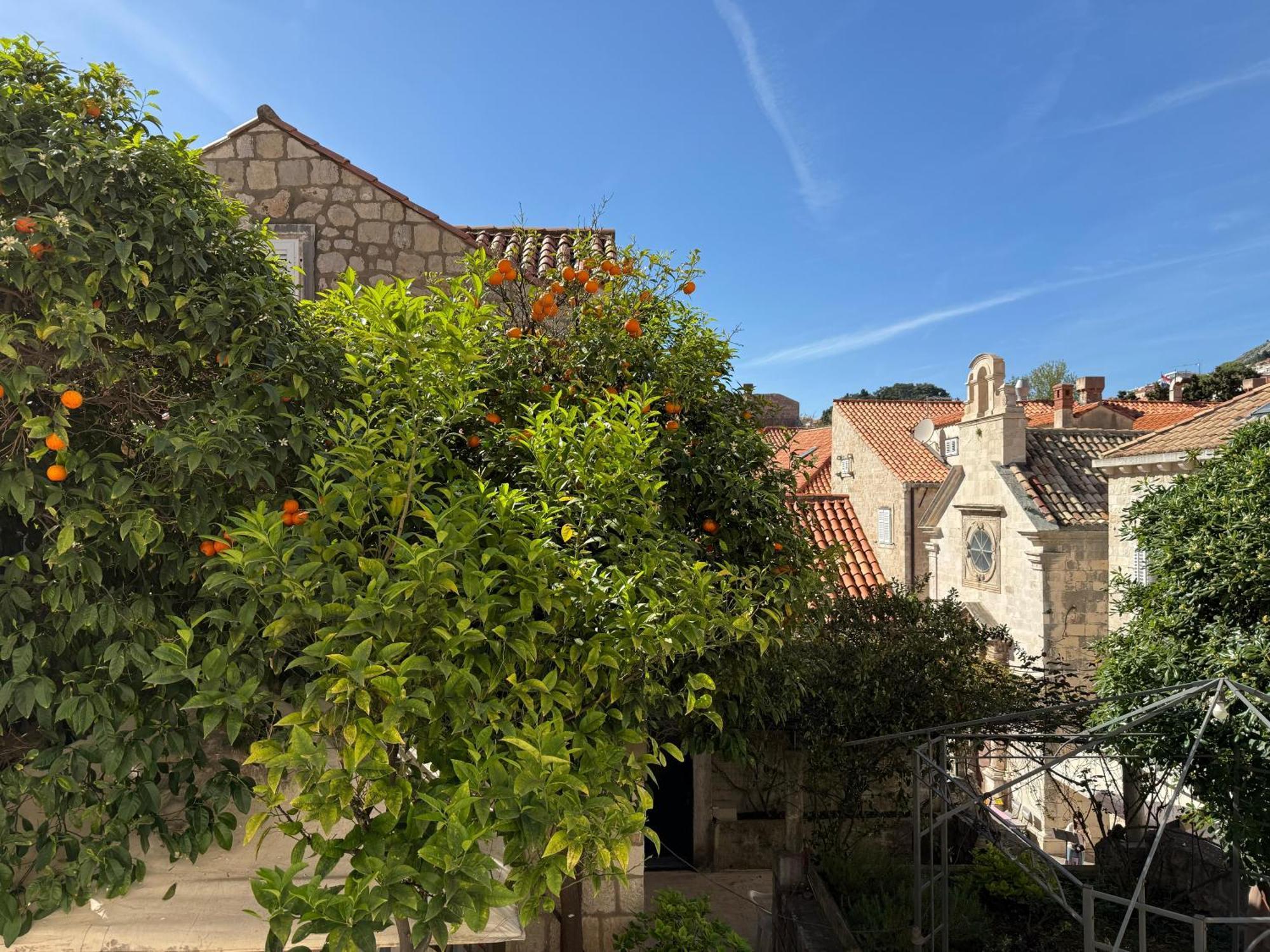 Apartment Naval Dubrovnik Eksteriør billede